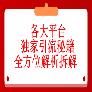 玩转流量 各大平台独家引流秘籍 全方位解析拆解